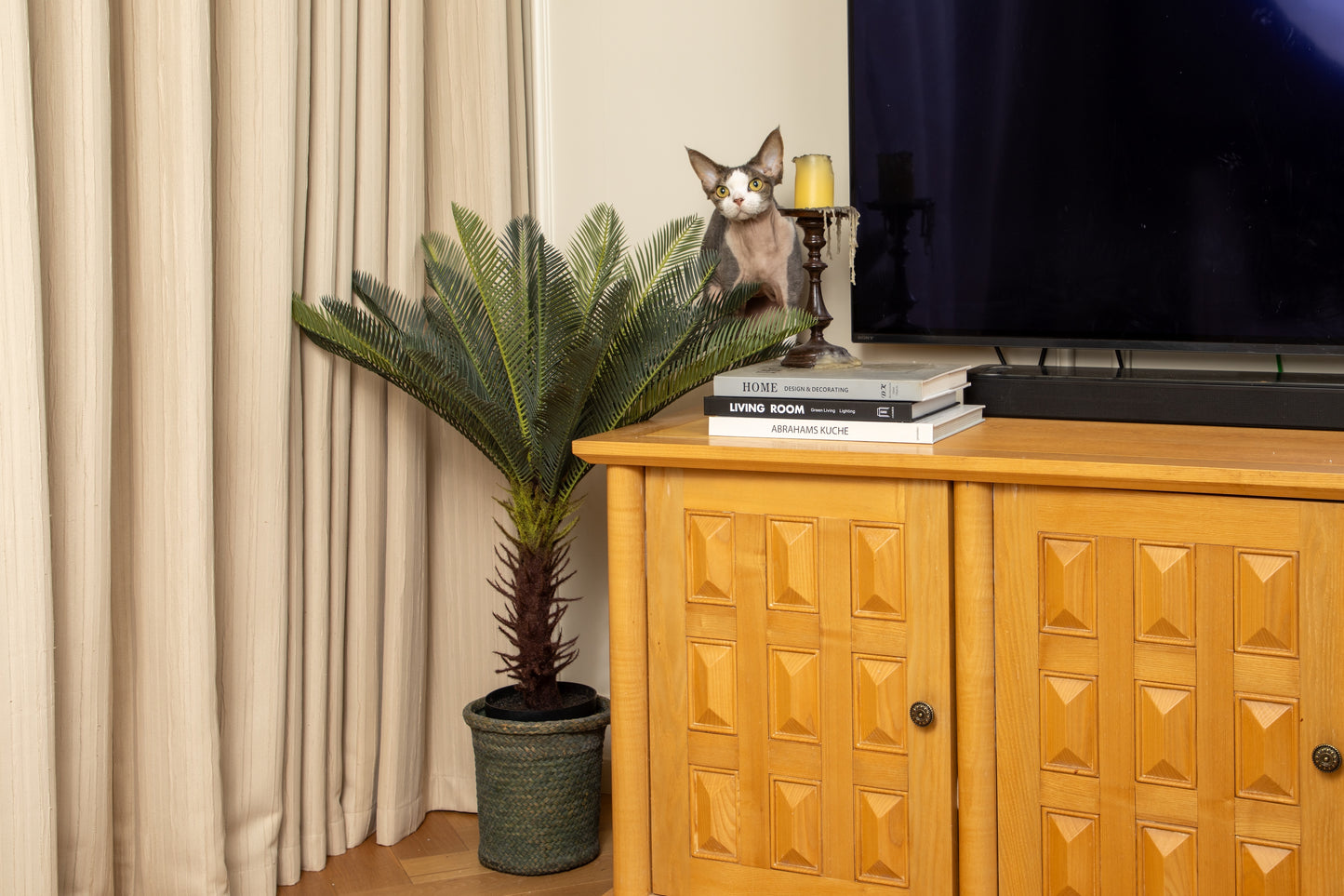 The Sago Palm Set