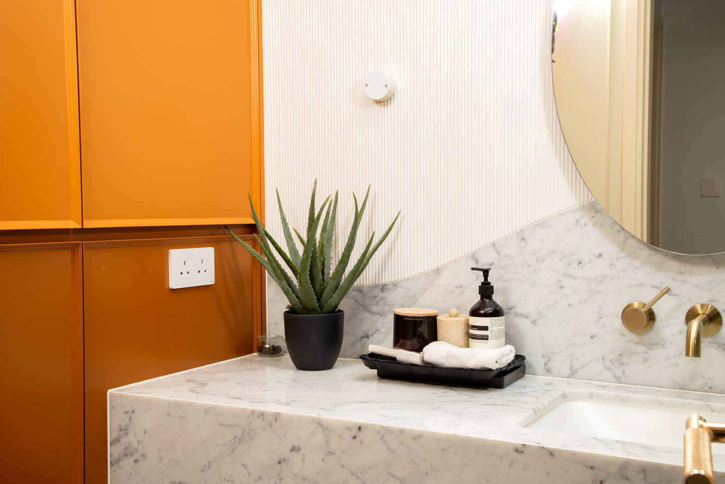 The Aloe Vera Set